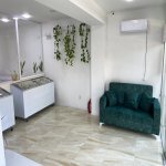 Kirayə (aylıq) Obyekt, Gənclik metrosu, Ayna Sultanova heykəli, Nərimanov rayonu 6