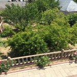 Kirayə (aylıq) 4 otaqlı Bağ evi, Novxanı, Abşeron rayonu 19