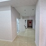 Kirayə (aylıq) 3 otaqlı Yeni Tikili, Nizami metrosu, Nəsimi rayonu 17