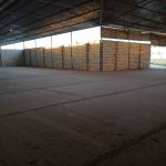 Kirayə (aylıq) Obyekt Bərdə 5