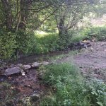 Kirayə (günlük) 4 otaqlı Bağ evi Quba 7
