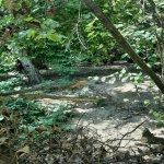 Satılır Torpaq Qax 4