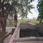 Satılır 6 otaqlı Həyət evi/villa, Novxanı, Abşeron rayonu 40