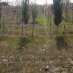 Satılır Obyekt Sumqayıt 6
