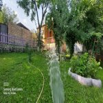 Kirayə (günlük) 2 otaqlı Həyət evi/villa Qəbələ 9