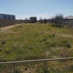Satılır Torpaq, Bilgəh qəs., Sabunçu rayonu 4