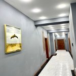 Kirayə (aylıq) 5 otaqlı Ofis, Azadlıq metrosu, Binəqədi rayonu 3