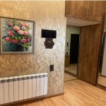 Kirayə (günlük) 2 otaqlı Köhnə Tikili, Sahil metrosu, Nizami kinoteatrı, Nəsimi rayonu 11