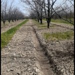 Satılır Torpaq, Qaradağ rayonu 3