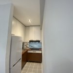 Kirayə (aylıq) 2 otaqlı Yeni Tikili, 28 May metrosu, Nəsimi rayonu 10