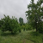 Satılır Torpaq Qusar 1