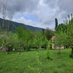 Satılır Torpaq, Yasamal rayonu 17