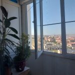 Продажа 3 комнатная Новостройка, Масазыр, Абшерон район 11