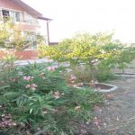 Satılır 5 otaqlı Bağ evi, Nardaran qəs., Sabunçu rayonu 10