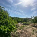 Satılır Torpaq, Şüvəlan, Xəzər rayonu 6