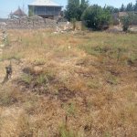 Продажа Участок, Туркян, Хязяр район 6