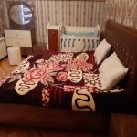 Kirayə (günlük) 5 otaqlı Bağ evi Qəbələ 9