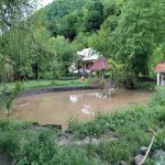Kirayə (günlük) 5 otaqlı Bağ evi İsmayıllı 4