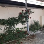 Satılır 3 otaqlı Bağ evi, Dübəndi, Xəzər rayonu 1