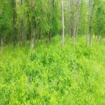 Продажа Участок Гусар 2