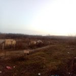 Satılır Torpaq Qusar 4