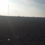 Satılır Torpaq Salyan 2