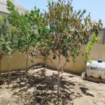 Kirayə (aylıq) 3 otaqlı Həyət evi/villa Xırdalan 5