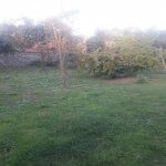 Satılır Torpaq Qəbələ 5