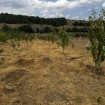 Продажа Участок Губа 7