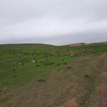 Satılır Torpaq, Masazır, Abşeron rayonu 6