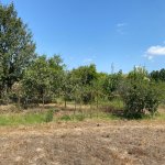 Продажа Участок, Хязяр район 12