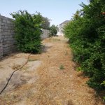 Продажа 3 комнат Дача, пос. Маштага, Сабунчу район 7