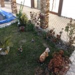 Kirayə (aylıq) 5 otaqlı Bağ evi, Novxanı, Abşeron rayonu 64