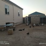 Satılır 3 otaqlı Həyət evi/villa, Hövsan qəs., Suraxanı rayonu 1