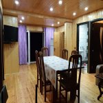 Kirayə (günlük) 7 otaqlı Həyət evi/villa Qəbələ 10