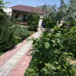 Kirayə (aylıq) 3 otaqlı Bağ evi, Şüvəlan, Xəzər rayonu 1