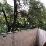 Аренда 2 комнатная Вторичка, м. Гянджлик метро, Университет ADA, Насими район 15