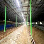 Продажа Объект Хачмаз 36