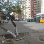Kirayə (aylıq) Obyekt, Neftçilər metrosu, 8-ci kilometr, Nizami rayonu 4