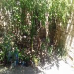 Satılır 3 otaqlı Həyət evi/villa Xırdalan 11