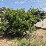 Satılır 2 otaqlı Həyət evi/villa, Buzovna, Xəzər rayonu 21