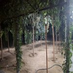 Посуточно 4 комнатная Дача, Новханы баг массиви район 15