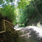 Kirayə (günlük) 4 otaqlı Bağ evi Şəki 9