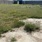 Продажа Участок, Дубянди, Хязяр район 4