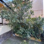 Kirayə (aylıq) 3 otaqlı Həyət evi/villa, Masazır, Abşeron rayonu 3
