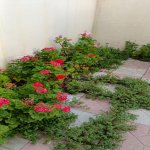 Kirayə (aylıq) 3 otaqlı Həyət evi/villa, Masazır, Abşeron rayonu 14