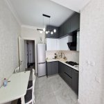 Kirayə (aylıq) 2 otaqlı Yeni Tikili, Bayıl qəs., Səbail rayonu 7