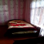 Kirayə (günlük) 3 otaqlı Bağ evi İsmayıllı 6