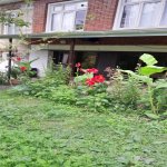 Kirayə (günlük) 3 otaqlı Həyət evi/villa Qax 3