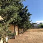 Satılır 3 otaqlı Həyət evi/villa, Bilgəh qəs., Sabunçu rayonu 8